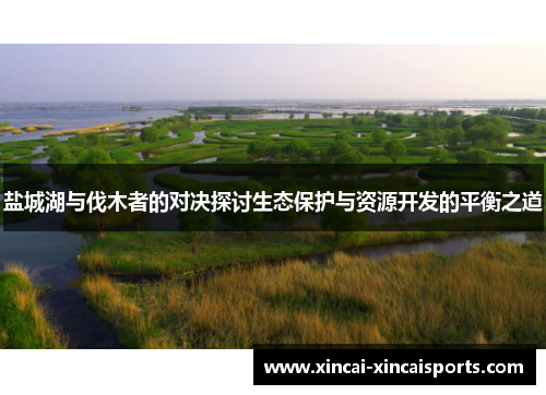 盐城湖与伐木者的对决探讨生态保护与资源开发的平衡之道